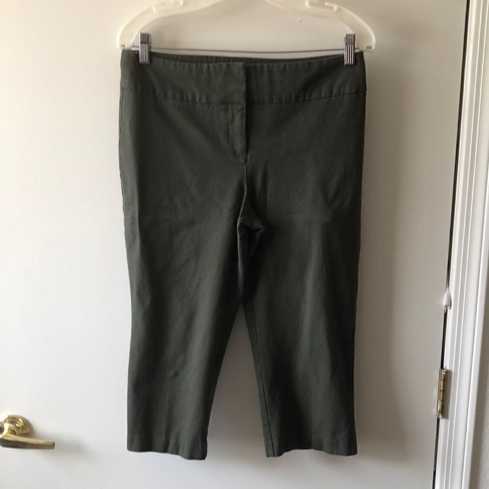 Laura Ashley Petites Capri Size 6p Olive GUC